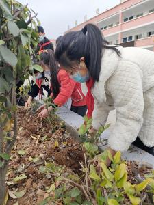 南化塘镇江湾小学：践行劳动教育 共建绿色校园