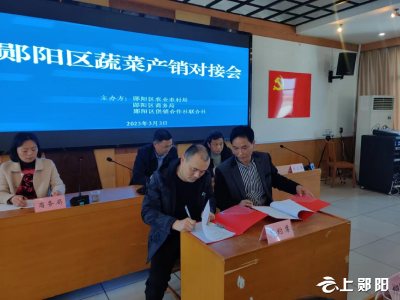 郧阳区：做好产销对接 为菜农纾困解难