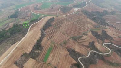 郧阳区：春耕备耕忙生产，不负农时不负春。