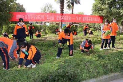 郧阳区实验中学：劳动实践 扮靓春天