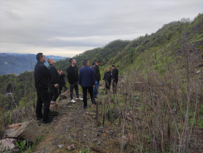 着力推进地质灾害治理 确保群众生命财产安全