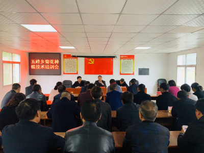 【能力作风建设在行动】郧阳区五峰乡：以能力作风大转变书写产业发展新篇章