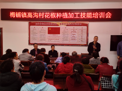 高沟村驻村工作队:“送技兴农”助力乡村特色产业发展