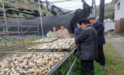 郧阳区胡家营镇：发展“一村一品” 助农致富增收