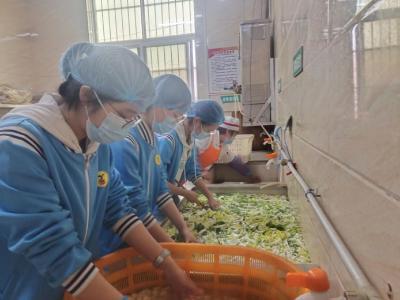 郧阳区第二中学：学餐饮体验劳动之美