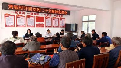 【党建引领基层治理】郧阳区谭家湾镇黄畈村：以党建引领助推能力提升作风转变