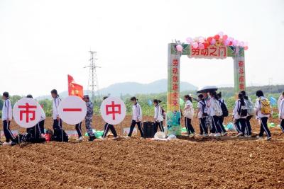 1500余名学生体验农耕生活