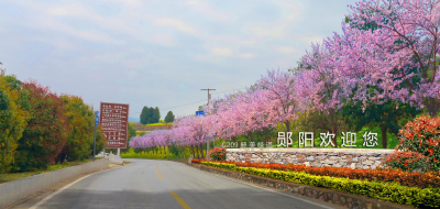 【乡村振兴新画卷】郧阳区：稳步推进“美丽公路”建设工作