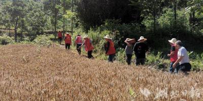 郧阳区水利系统：用心用情用力让下基层走心、走实、走深