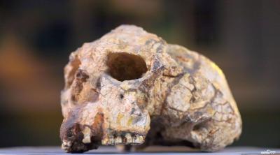 《探索·发现》节目预告：湖北十堰郧县人遗址 7月11日播出