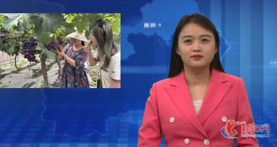 洞耳河村：果园葡萄香 农户致富忙
