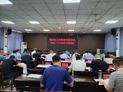郧阳区自然资源和规划局：开展专题测试 以学促用提能增效
