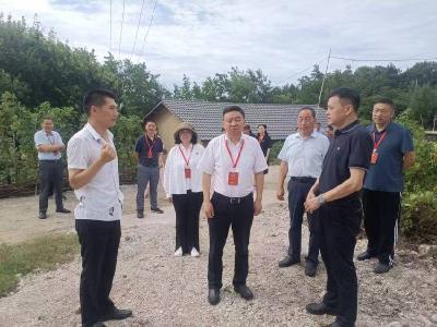 郧阳区政协聚焦“全域景区” 助力和美乡村建设