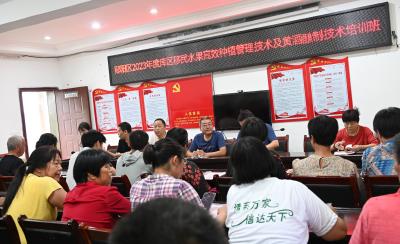 郧阳黄酒链式发展助力乡村振兴