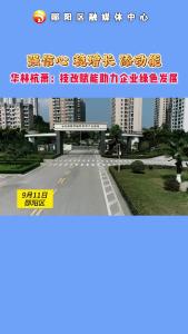 #工业发展 强信心 稳增长 添动能 华林杭萧：技改赋能助力企业绿色发展