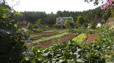 【乡村振兴新农人】李现杰：打造家庭农场 掌握“致富密码”