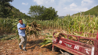 【乡村振兴新农人】李现杰：打造家庭农场 掌握“致富密码”