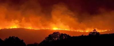 秋冬物燥草木干 森林防火要当先