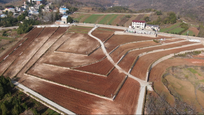 郧阳区：高标准农田建设让“枯田”变“良田”