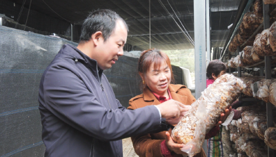 【乡村振兴新画卷】郧阳区白桑关镇：支部引领强产业 绿色低碳促发展