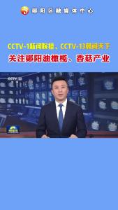 
CCTV-1新闻联播、CCTV-13朝闻天下，关注郧阳油橄榄、香菇产业！#农业#郧阳油橄榄