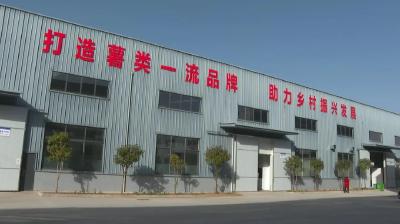 【乡村振兴新画卷】刘洞镇：打造红薯品牌 壮大强镇兴村富农产业