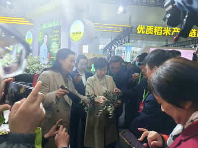 郧阳区8家粮油企业亮相荆楚粮油精品展交会