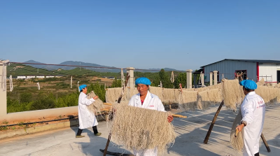 【乡村振兴新画卷】天气晴好冬日暖   安阳粉条加工忙