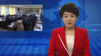 胡先平主持召开区委党建工作领导小组暨人才工作领导小组会议