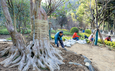 元旦，市民朋友将多一个游玩的新地方~