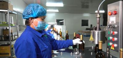 【争抢竞进“开门红”】湖北耀荣木瓜公司：科技赋能木瓜全产业链发展