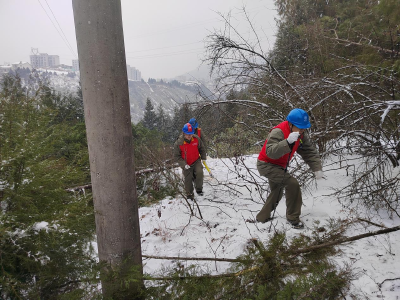 国网郧县供电公司：抗冰特巡清障 消除冰雪隐患