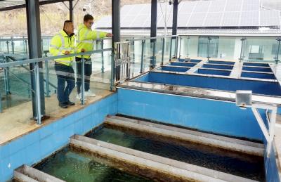 郧阳区：保障村民春节正常饮水