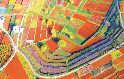 郧阳：田园“调色板”