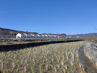 郧阳区安阳镇：推进流域综合治理 保障河库清净安澜