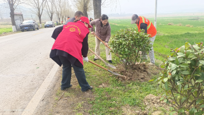 郧阳区公路事业发展中心：“植”此青绿不负春