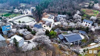 郧阳摄影家协会聚焦花里乡村