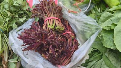 吃掉郧阳的春天 时令蔬菜齐上市