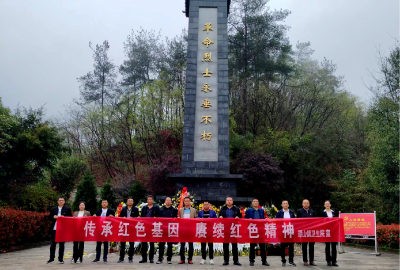 谭山镇卫生院开展清明祭英烈活动