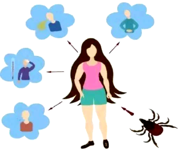 天气渐热，蜱出没，警惕这种传染病！