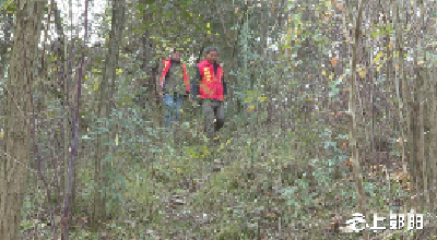 郧阳：冷思善谋多策略  守护好森林“阵地”