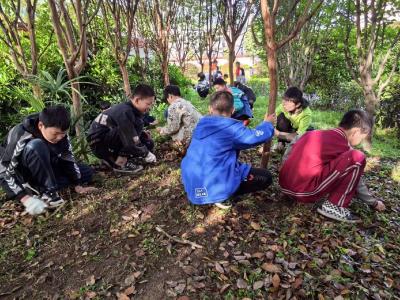鲍峡镇花园小学开展“共上一节劳动实践课”活动
