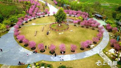 踏青赏景正当时