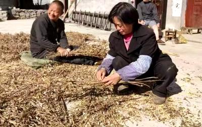 陈满英：十八年不离不弃照顾重残丈夫撑起一个家