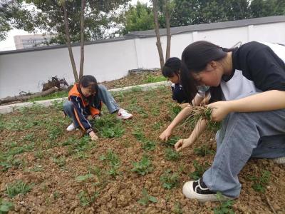 郧阳区十方院小学：“劳”中感受自然美好 “动”中享受成长快乐