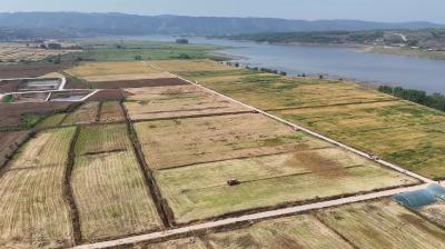 郧阳区:夏收全面展开   机械化生产助农增产增收