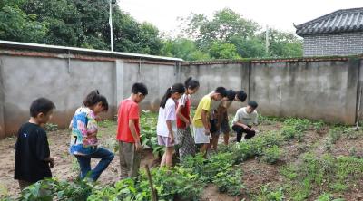 刘洞镇李家村：村里办起了暑托班 乡里娃有了好去处