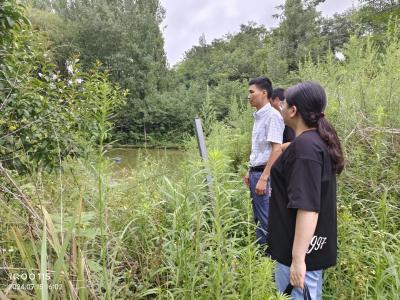 郧阳区刘洞镇：全过程监督助力群众平安度汛