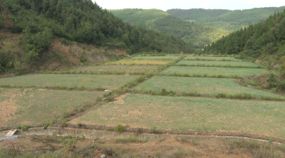 民生实事“践”行动 | 郧阳区35座尾矿库综合治理成效显著