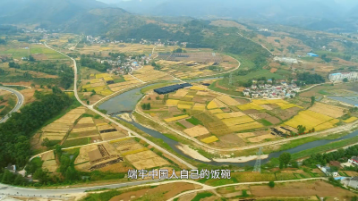 科技赋能  端稳“中国饭碗”